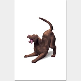 Chocolate Lab - Play Pose Posters and Art